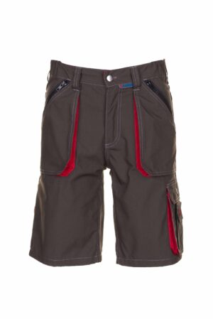 Basalt Shorts